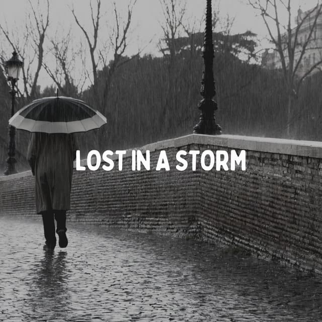 Lost in a Storm - Rainfall Place