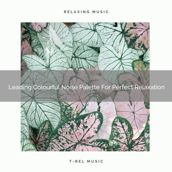 Leading Colourful Noise Palette For Perfect Relaxation - Baby Rain Sleep Sounds