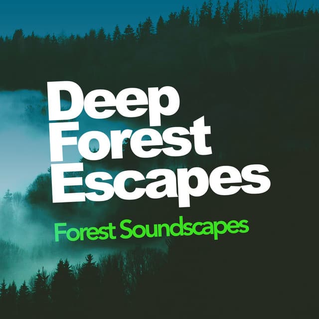Deep Forest Escapes - Forest Soundscapes