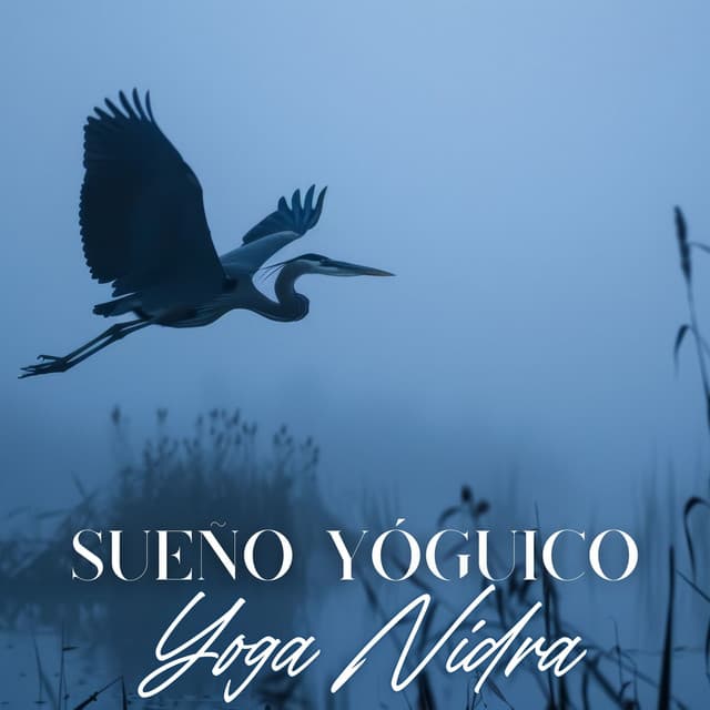 Sueño Yóguico: Descanso Profundo Sin Dormir, Yoga Nidra para Una Mente Tranquila y un Mejor Sueño - Academia de Música de Yoga Pilates