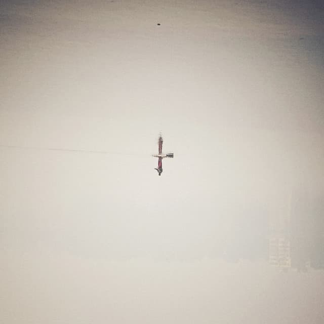 Endling - Qasim Naqvi