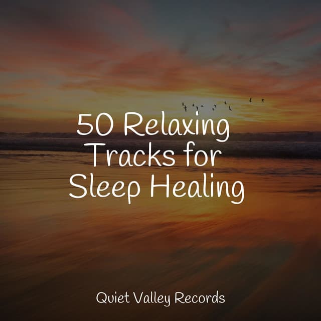 50 Relaxing Tracks for Sleep Healing - Pro Sounds of Nature