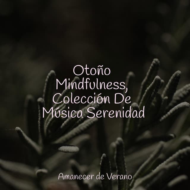 Otoño Mindfulness, Colección De Música Serenidad - Relajación Piano