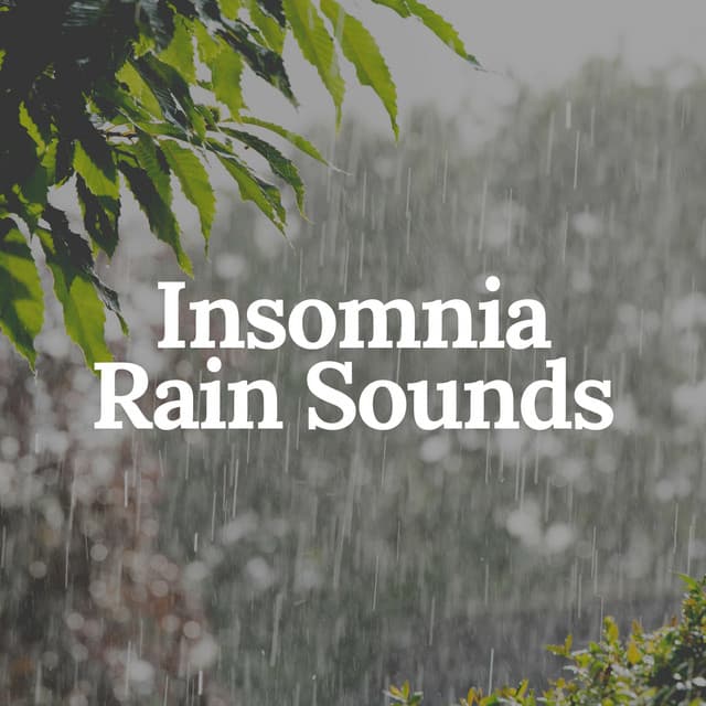 Insomnia Rain Sounds - Rainfall Meditations