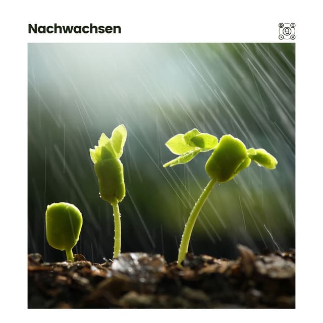 Nachwachsen - Regen zum Schlafen