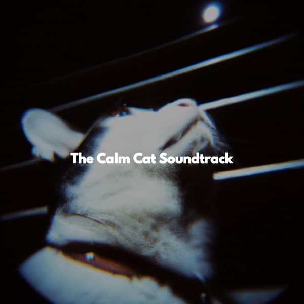 The Calm Cat Soundtrack - Jazz Instrumental Relax Center