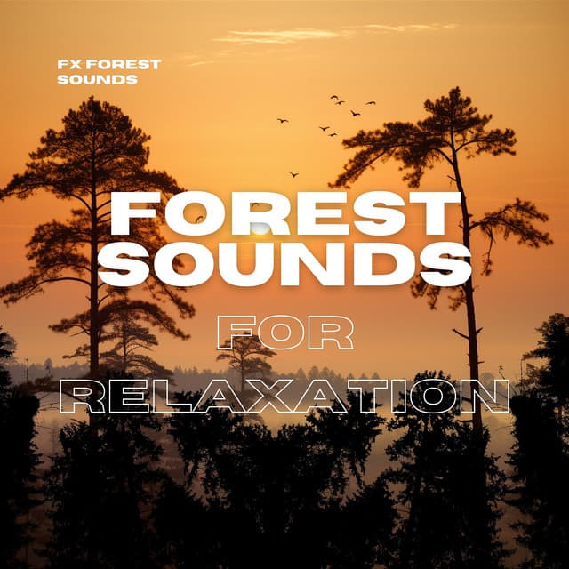 Forest Sounds for Relaxation - FX Forest Sounds