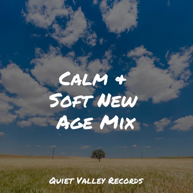 Calm & Soft New Age Mix - Ambiente