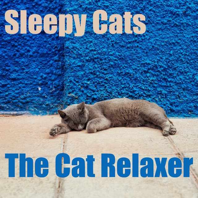 Sleepy Cats - The Cat Relaxer