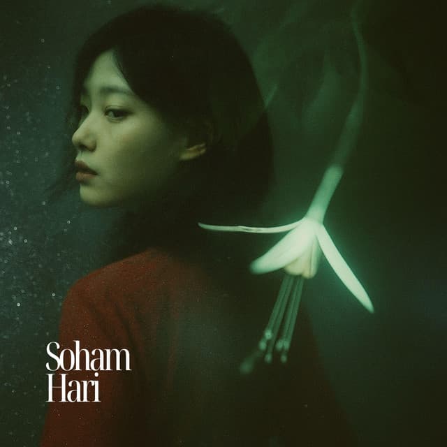 Subterranean Soul Resonance - Soham Hari