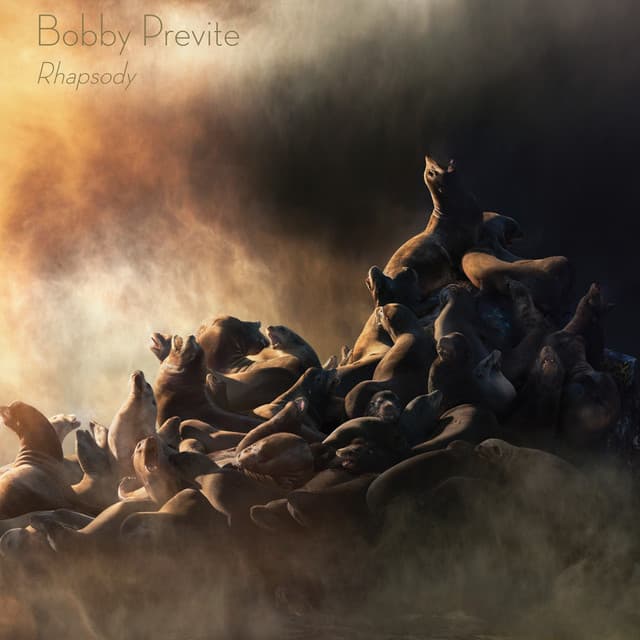 Rhapsody - Bobby Previte