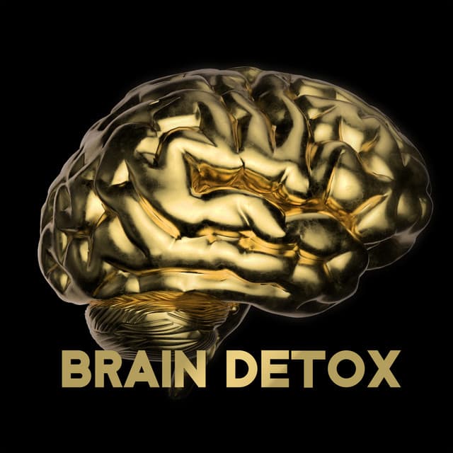Brain Detox: Vibrations and Meditation for Cleansing - John Pure