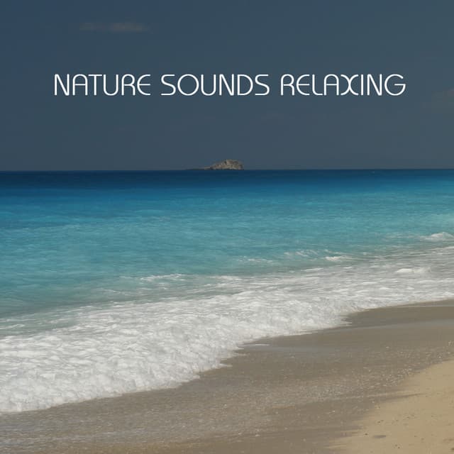 Nature Sounds Relaxing: the Most Relaxing Music Imaginable. Relaxing Sounds of Nature - India Ink
