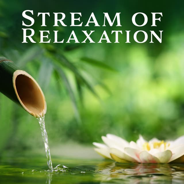 Stream of Relaxation: Chinese Zen Spa Music - Chinese Yang Qin Relaxation Man