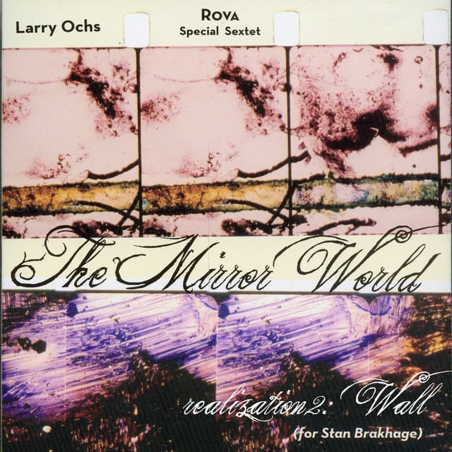 The Mirror World - Larry Ochs