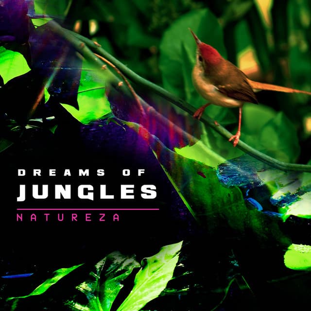 Dreams of Jungles - Natureza