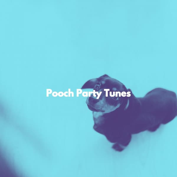 Pooch Party Tunes - Jazz For Sleeping