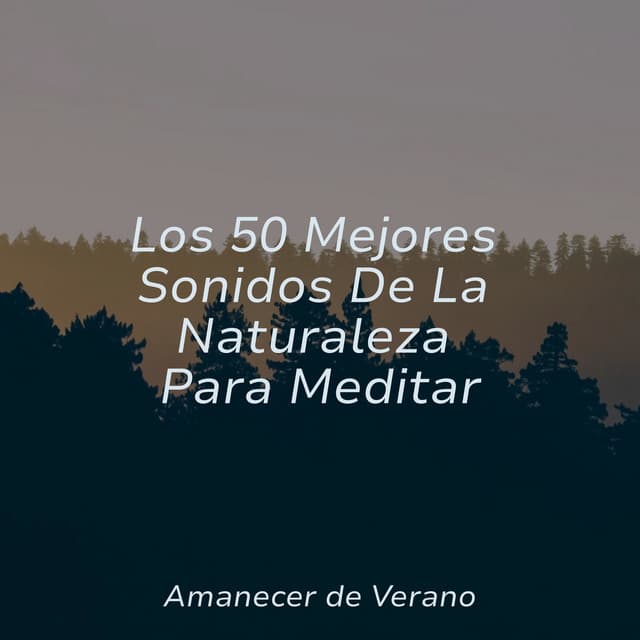 Los 50 Mejores Sonidos De La Naturaleza Para Meditar - Chillout Lounge