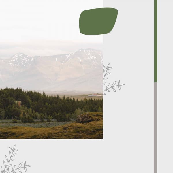 Music for Mental Recharging - Jazz Ballad - Rio Bossa Nova Quartet