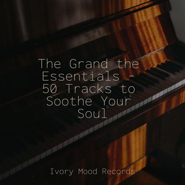 The Grand the Essentials - 50 Tracks to Soothe Your Soul - Música relaxante