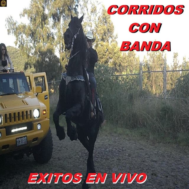 Exitos En Vivo - Corridos Con Banda