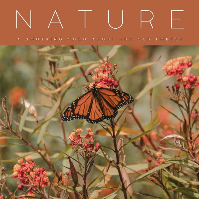 Nature: A Soothing Song About The Old Forest - Outside HD Samples