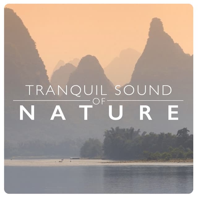Tranquil Sound of Nature - Tranquil Music Sounds of Nature