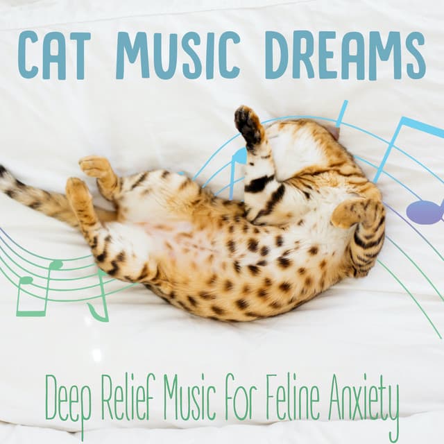 Cat Music Dreams : Deep Relief Music for Feline Anxiety - Cat Music