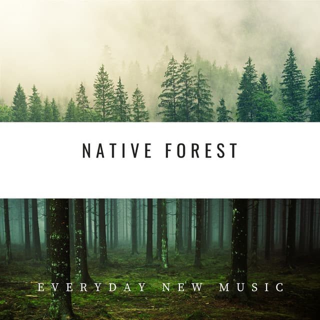 Native Forest: Tribal Harmonies - Everyday New Music