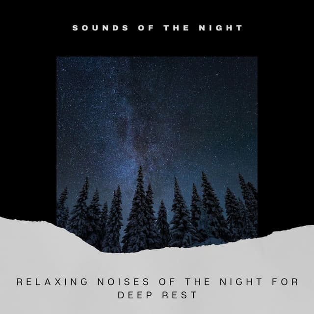 Relaxing Noises of the Night for Deep Rest - Sounds of the Night