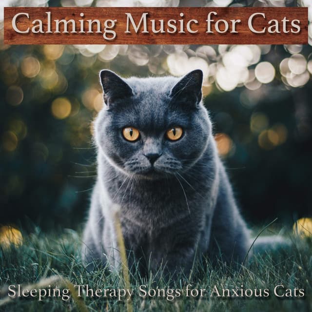 Calming Music for Cats: Sleeping Therapy Songs for Anxious Cats - RelaxMyCat
