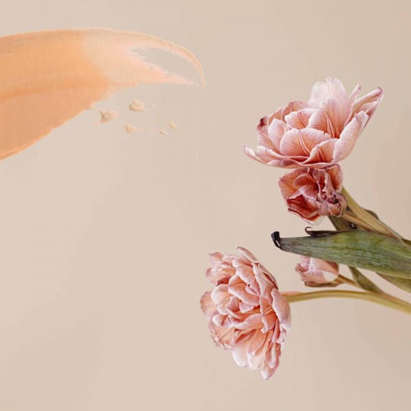 Guitar Bossa Nova - Calm Cafe Lounge