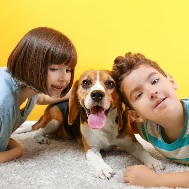 Woof Jazz Echoes: Piano for Doggy Companions - Dog Jazz Playlist