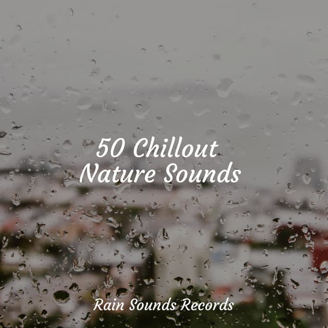 50 Chillout Nature Sounds - Musica Para Estudiar Academy