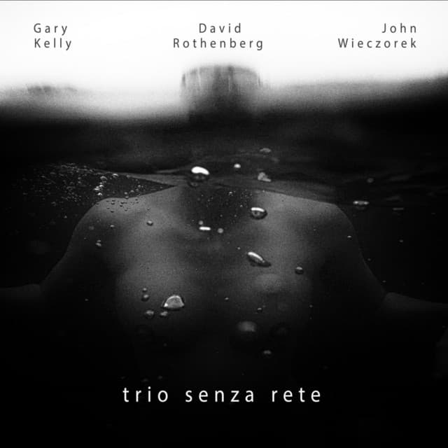 Trio Senza Rete - David Rothenberg