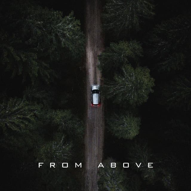 From Above - Sad Fiona