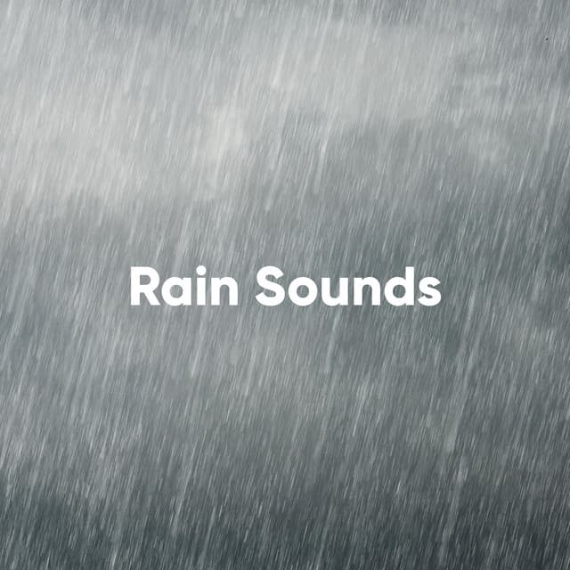 Rain Sounds: The Definitive Collection - White Noise Collectors