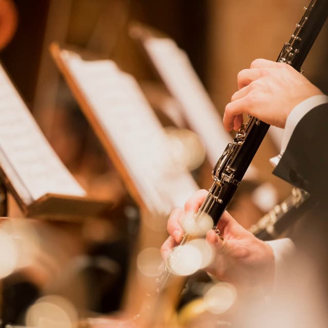 Serene Orchestra: Music for Yoga - Valborg Shamsuddin