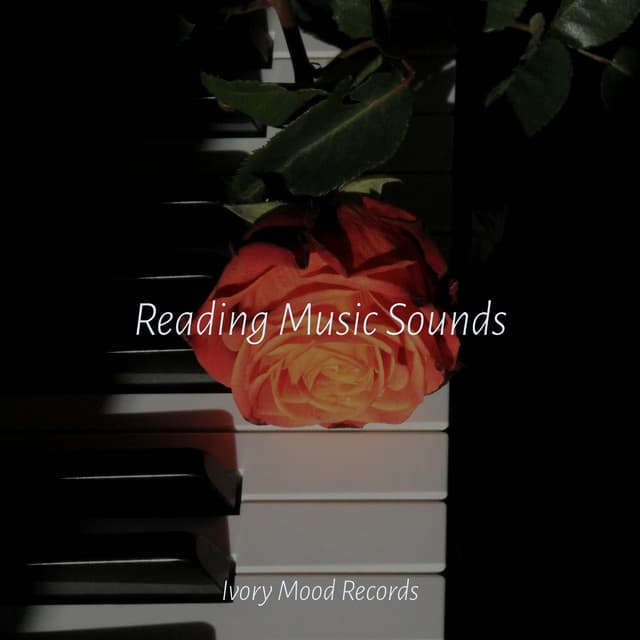 Reading Music Sounds - Piano para Relaxar