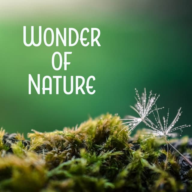 Wonder of Nature - Stress Relief, Full Mute, Best Cure, Most Beautiful - Bruits naturels