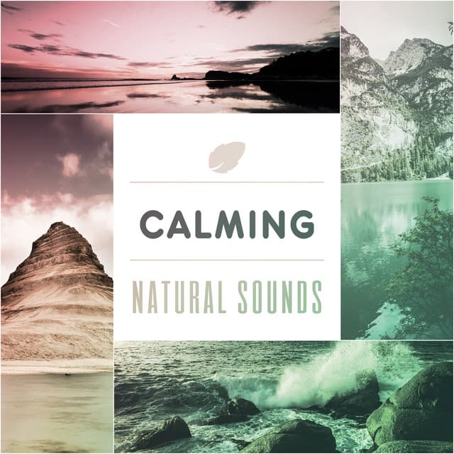 Calming Natural Sounds – Relaxing Nature Sounds, Healing Meditation, Inner Peace, Serenity Music - Bruits naturels