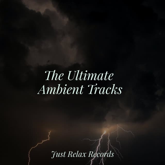 The Ultimate Ambient Tracks - Musica Relajante