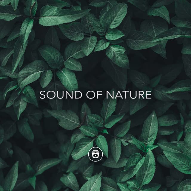 Sound Of Nature - Nature Sounds