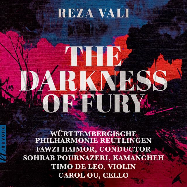 The Darkness of Fury - Reza Vali