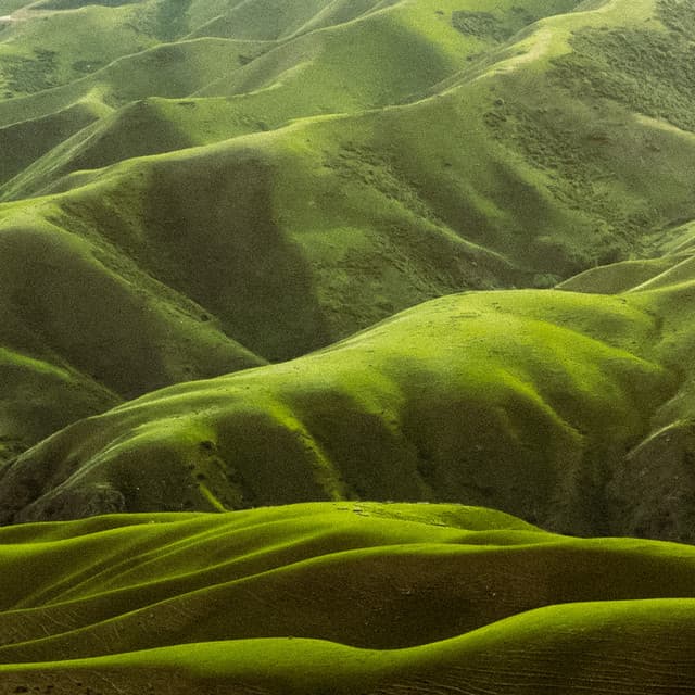 10 AM Woodlands: Clear Rivers, Clear Minds - Baltic Nature Sounds