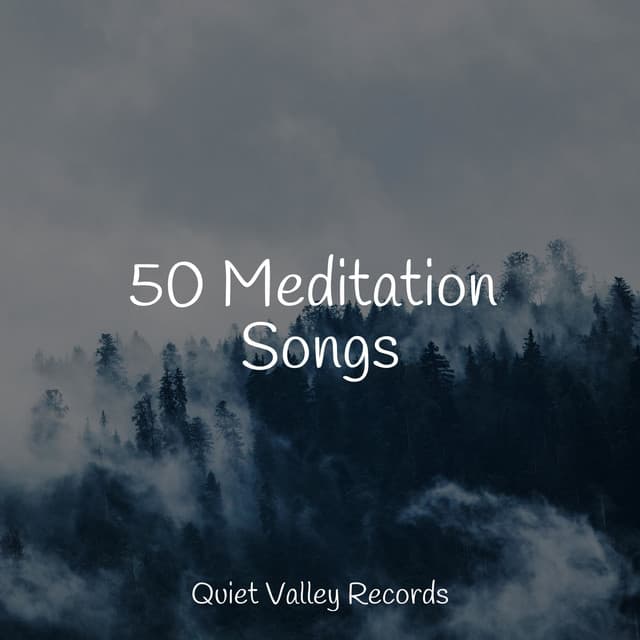 50 Meditation Songs - Lush Rain Creators