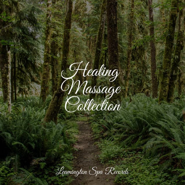 Healing Massage Collection - Thunder Storm
