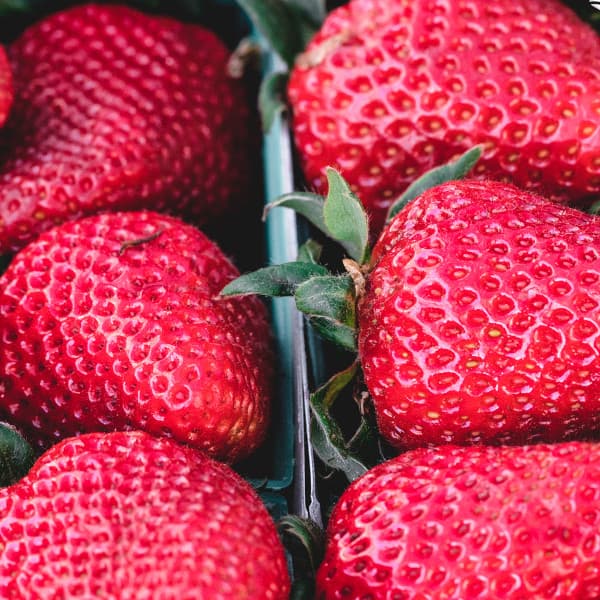 Fruits - Fruity Flavor