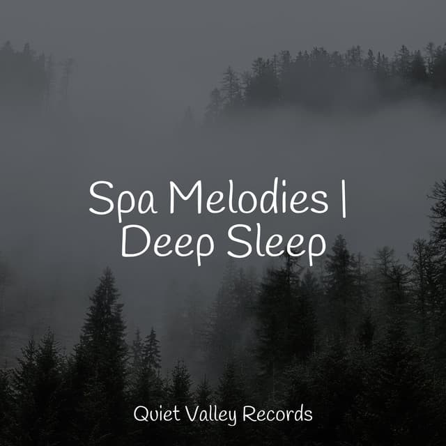 Spa Melodies | Deep Sleep - Wave Sound Group