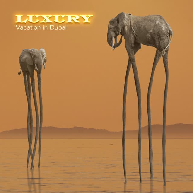 Luxury Vacation in Dubai - Chloe Monroe